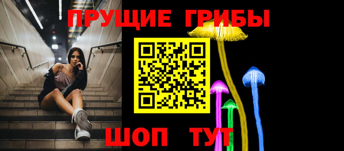 Галлюциногенные грибы GOLDEN TEACHER  Галлюциногенные грибы Cubensis  Вход с VPN  Междуреченск 